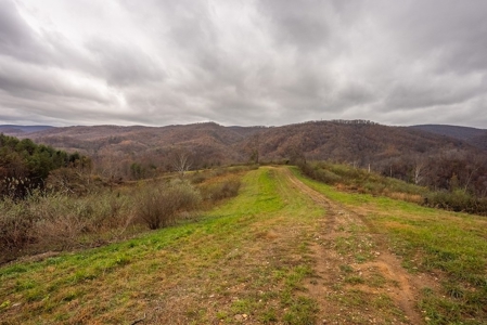 Farmland for Sale in Giles County VA - image 19