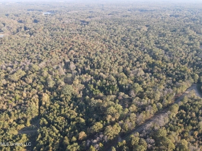 Potential Commercial Property for Sale in Clinton, MS - image 38