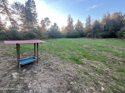 Potential Commercial Property for Sale in Clinton, MS - image 11