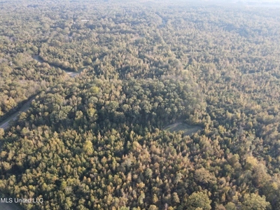 Potential Commercial Property for Sale in Clinton, MS - image 37