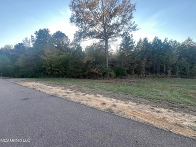 Potential Commercial Property for Sale in Clinton, MS - image 5