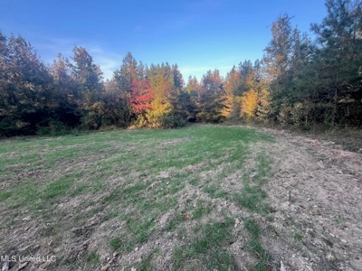 Potential Commercial Property for Sale in Clinton, MS - image 10