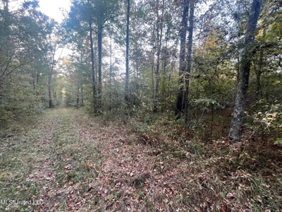 Potential Commercial Property for Sale in Clinton, MS - image 6