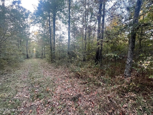 Potential Commercial Property for Sale in Clinton, MS