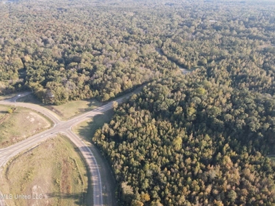 Potential Commercial Property for Sale in Clinton, MS - image 42