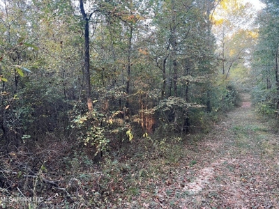 Potential Commercial Property for Sale in Clinton, MS - image 9
