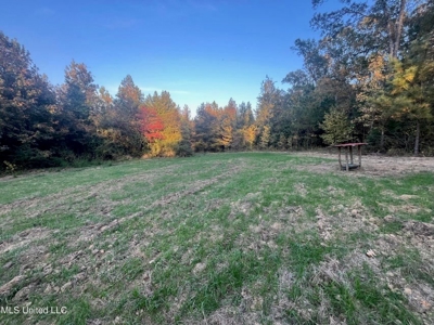 Potential Commercial Property for Sale in Clinton, MS - image 14