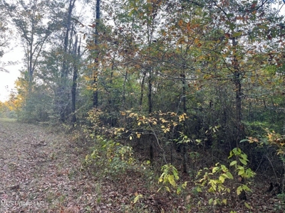 Potential Commercial Property for Sale in Clinton, MS - image 8