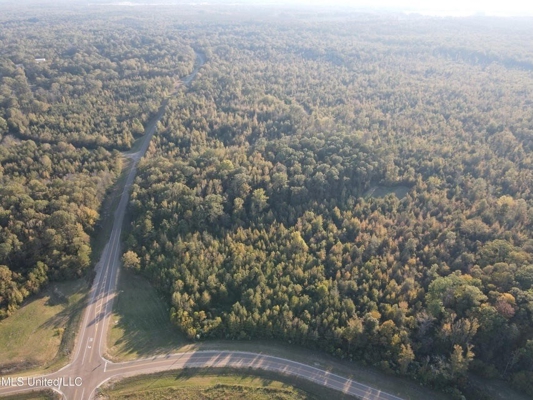 Potential Commercial Property for Sale in Clinton, MS