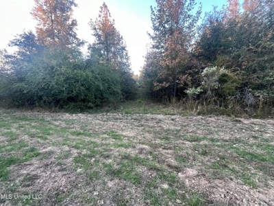 Potential Commercial Property for Sale in Clinton, MS - image 15