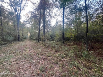 Potential Commercial Property for Sale in Clinton, MS - image 7