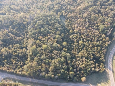 Potential Commercial Property for Sale in Clinton, MS - image 35