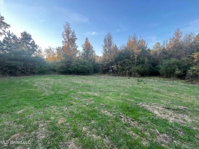 Potential Commercial Property for Sale in Clinton, MS - image 13