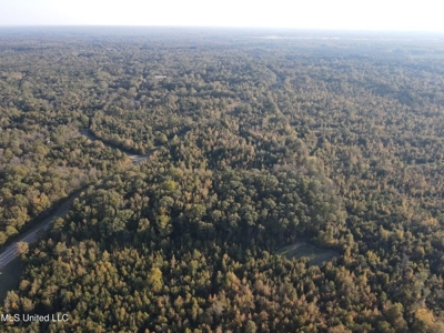 Potential Commercial Property for Sale in Clinton, MS - image 41