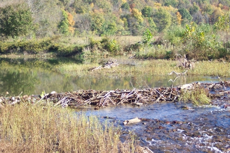 Riverfront Land for Sale South Central Missouri Ozarks - image 30