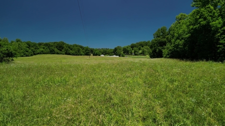 Riverfront Land for Sale South Central Missouri Ozarks - image 7