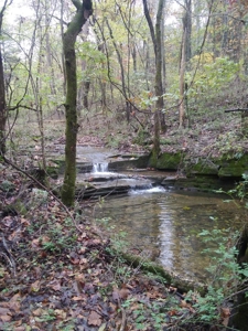 Riverfront Land for Sale South Central Missouri Ozarks - image 22