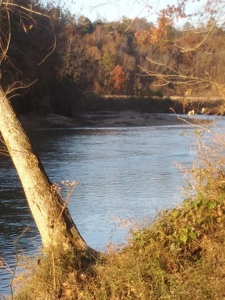 Riverfront Land for Sale South Central Missouri Ozarks - image 27