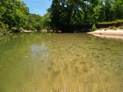Riverfront Land for Sale South Central Missouri Ozarks - image 12
