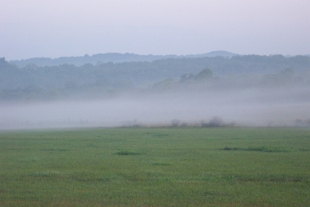 Riverfront Land for Sale South Central Missouri Ozarks - image 35
