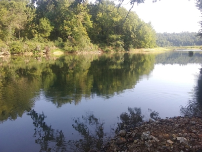 Riverfront Land for Sale South Central Missouri Ozarks - image 16