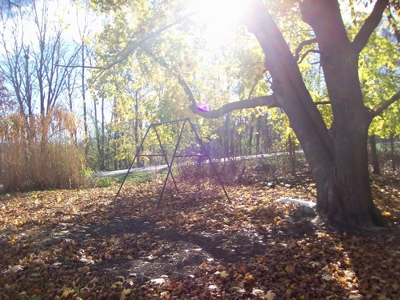 3 Bedroom Country Home Off-Grid Setting Pardeeville WI - image 42