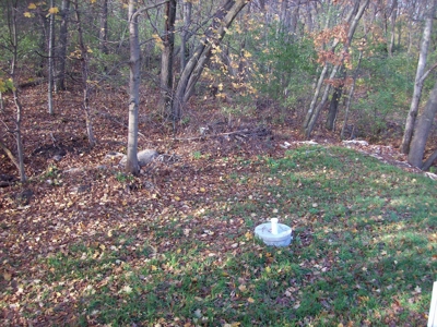 3 Bedroom Country Home Off-Grid Setting Pardeeville WI - image 25