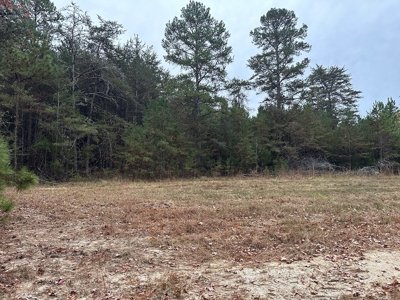 Vista View: 5.23 Acres of Serenity Near Chase City, VA - image 2