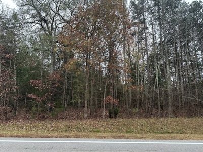 Vista View: 5.23 Acres of Serenity Near Chase City, VA - image 3