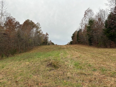 Vista View: 5.23 Acres of Serenity Near Chase City, VA - image 20