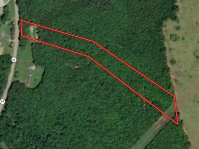 Vista View: 5.23 Acres of Serenity Near Chase City, VA - image 33