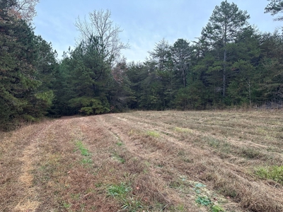 Vista View: 5.23 Acres of Serenity Near Chase City, VA - image 6