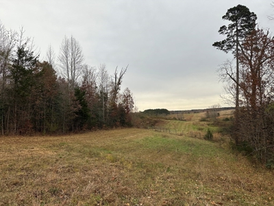 Vista View: 5.23 Acres of Serenity Near Chase City, VA - image 22