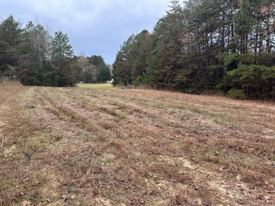 Vista View: 5.23 Acres of Serenity Near Chase City, VA - image 31