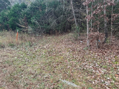 Vista View: 5.23 Acres of Serenity Near Chase City, VA - image 32