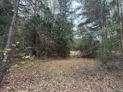 Vista View: 5.23 Acres of Serenity Near Chase City, VA - image 4