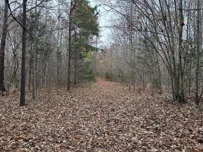 Vista View: 5.23 Acres of Serenity Near Chase City, VA - image 25