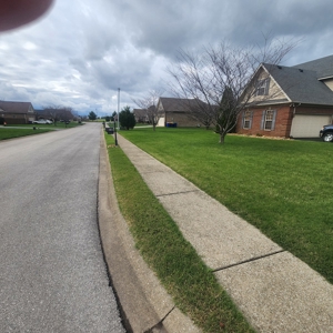 4 bedroom 2.5 bath brick home for sale in Franklin, Ky. - image 3