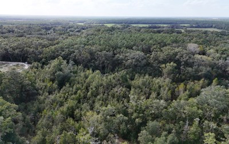 Secluded 30 Acres In Archer Florida For Sale - image 2