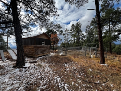 Rustic Log Cabin with Outbuilding with no CCR's - image 8