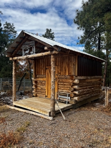 Rustic Log Cabin with Outbuilding with no CCR's - image 2
