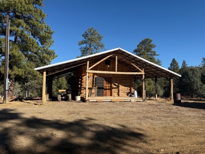 Rustic Log Cabin with Outbuilding with no CCR's - image 18