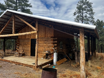 Rustic Log Cabin with Outbuilding with no CCR's - image 4