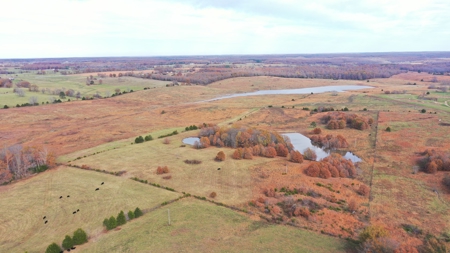 Cattle Farm with Farmhouse for Sale in Salem, Missouri - image 14