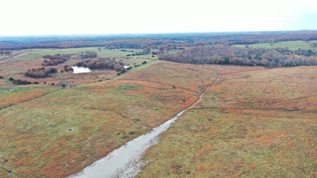 Cattle Farm with Farmhouse for Sale in Salem, Missouri - image 5