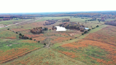 Cattle Farm with Farmhouse for Sale in Salem, Missouri - image 6