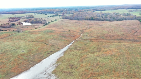 Cattle Farm with Farmhouse for Sale in Salem, Missouri - image 3