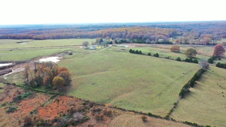 Cattle Farm with Farmhouse for Sale in Salem, Missouri - image 8