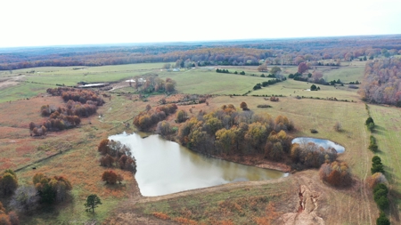 Cattle Farm with Farmhouse for Sale in Salem, Missouri - image 7