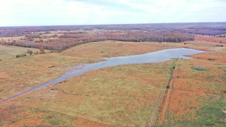 Cattle Farm with Farmhouse for Sale in Salem, Missouri - image 16